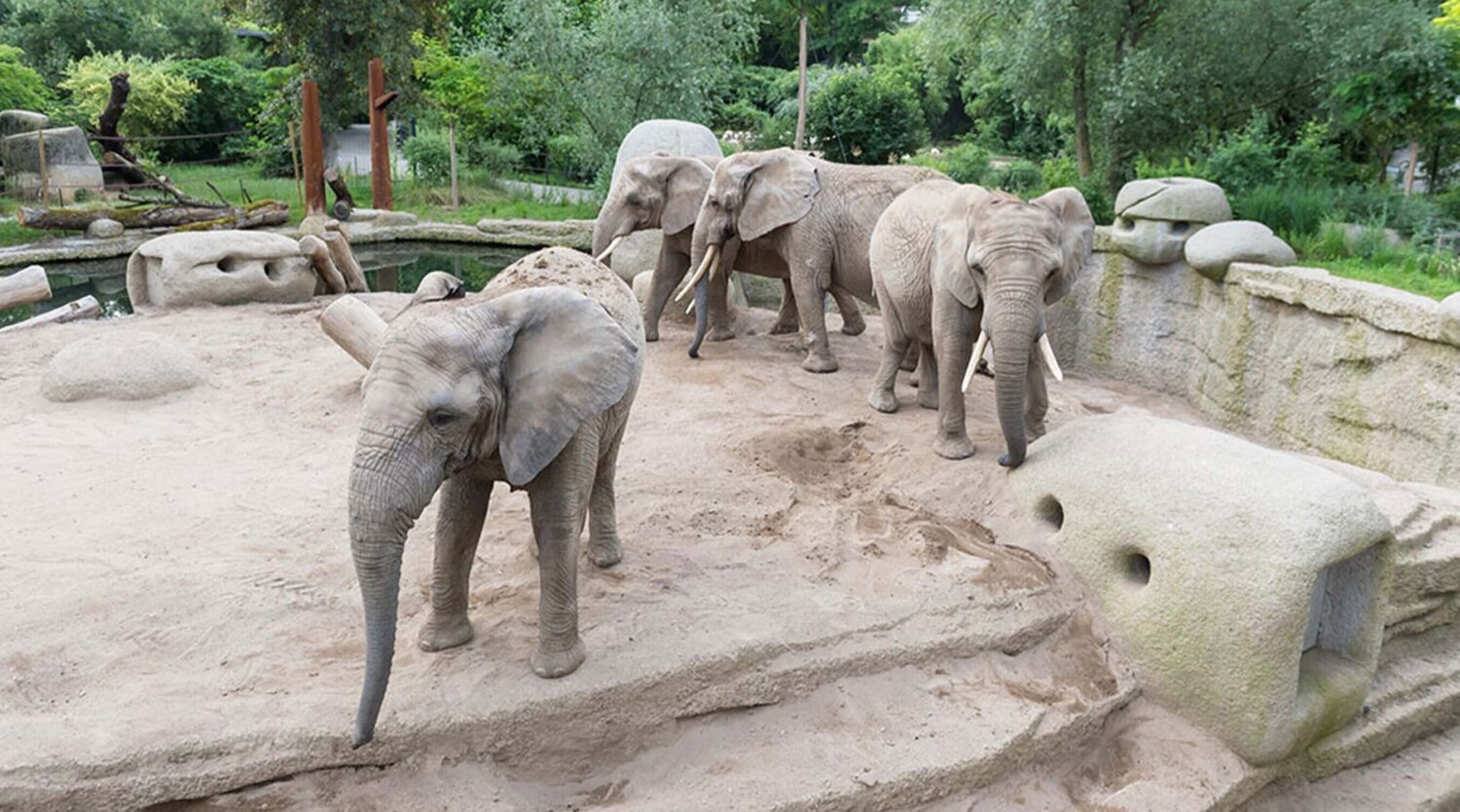 Zoo de Bâle