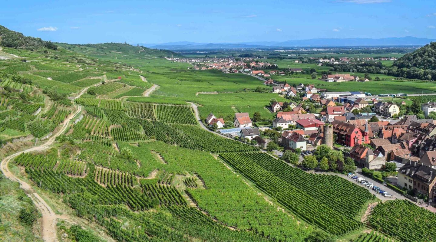 Idyllic vineyards in the Alsace region