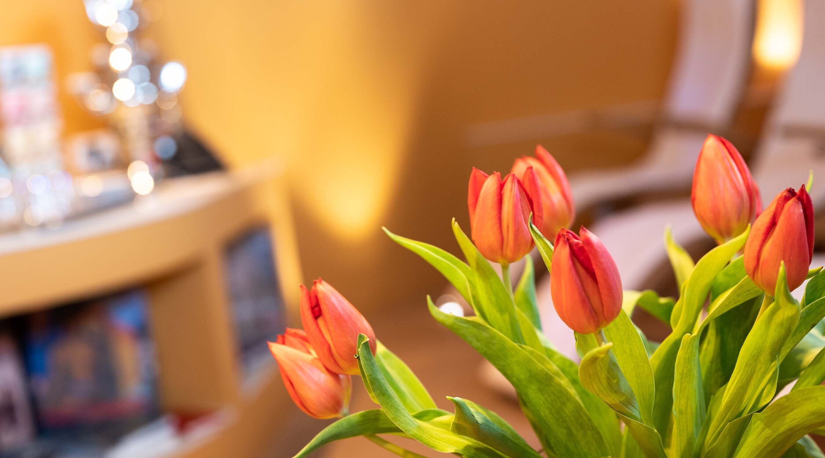 Wellness gaia hotel basel 10